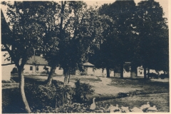 19) Dolní náměstí - Trávník v r.1912.