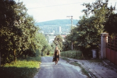 Ulice Zátiší