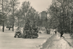 Park Komenského